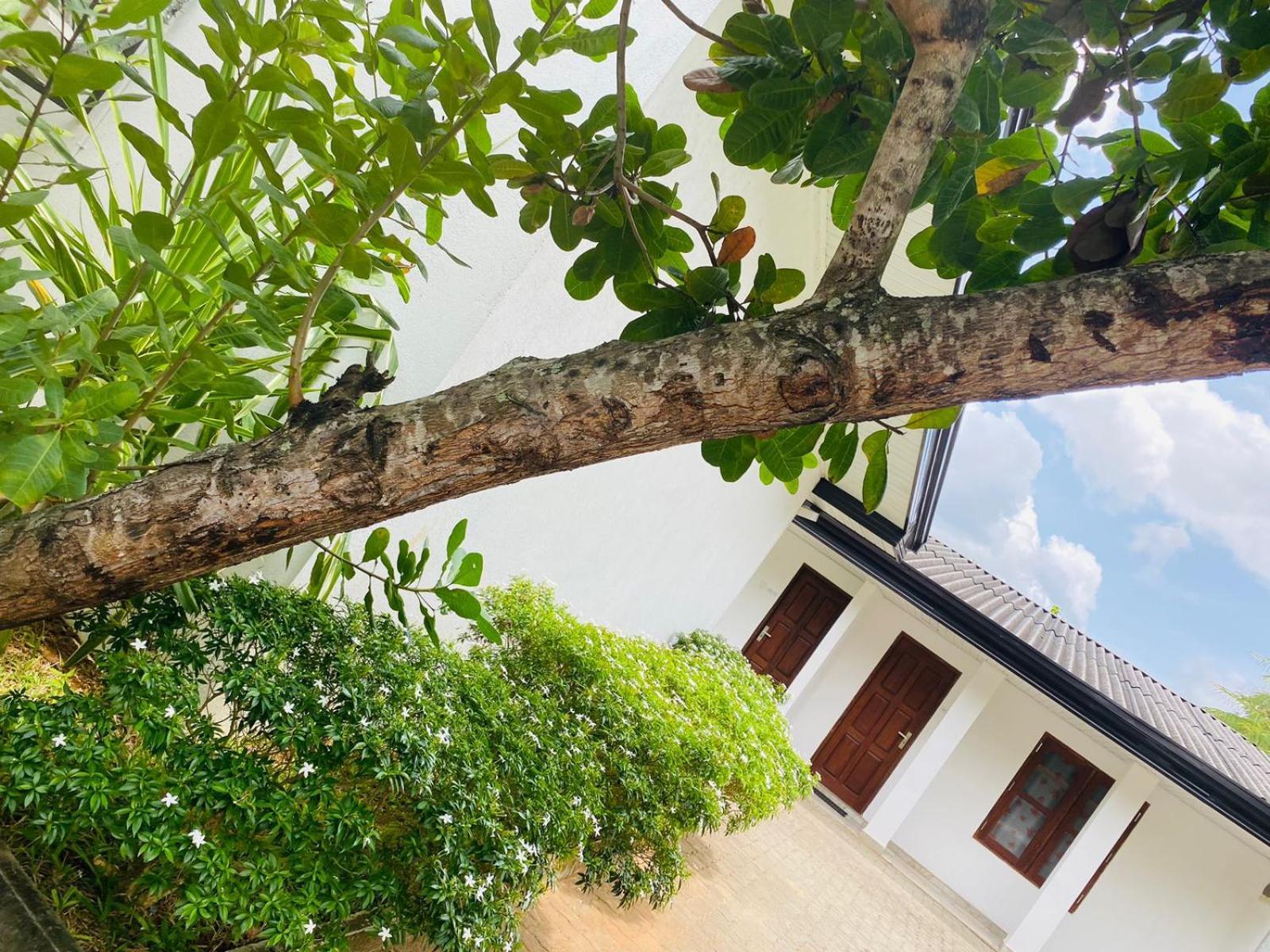 Premium Cottages B&B Курунегала Екстер'єр фото